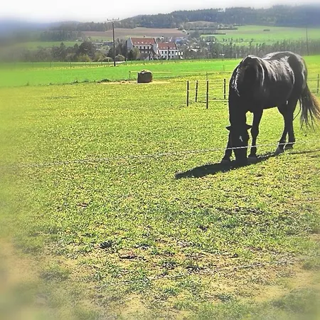 Отель Berounka Hrebecniky