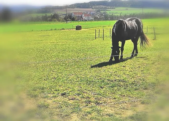 Отель Berounka Hrebecniky